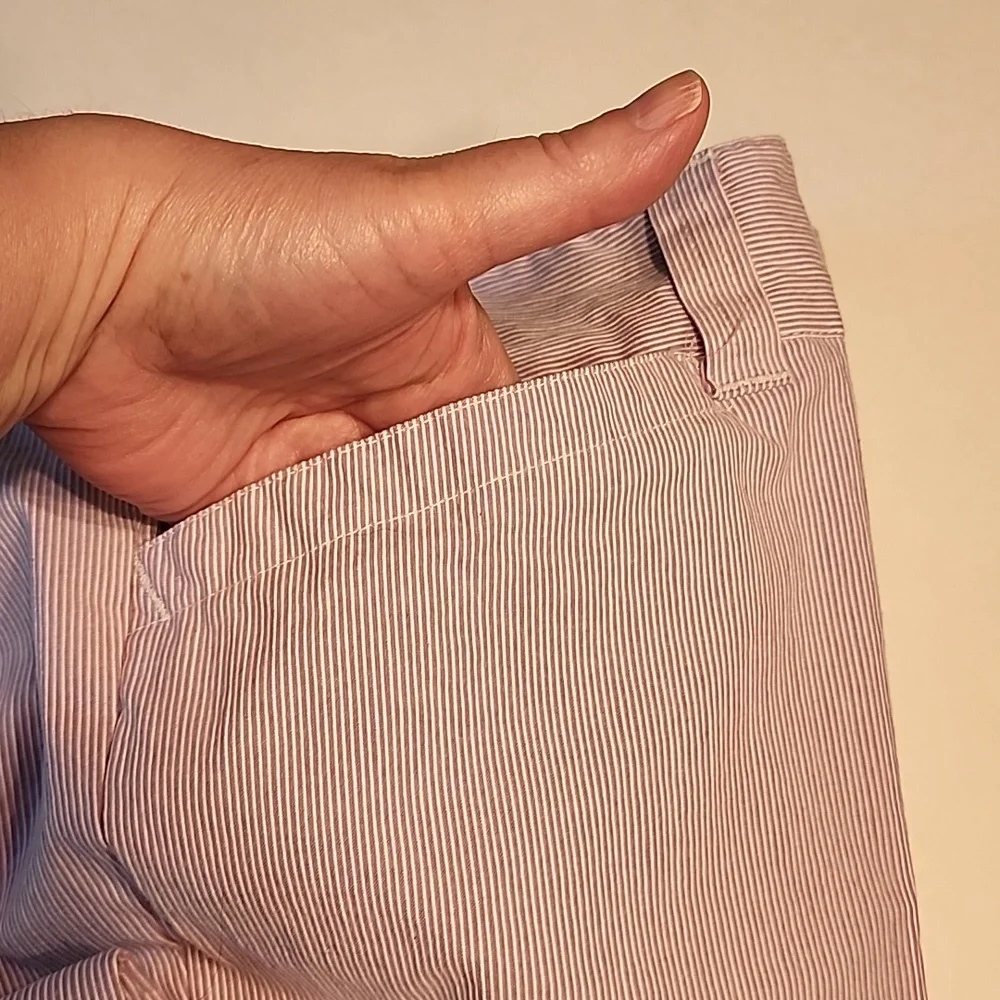 CHRISTOPHER & BANKS Lavender and White Pinstripe Ankle Pants Size 12 Petite - Picture 3 of 12